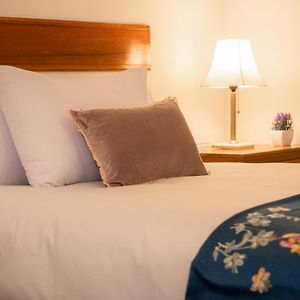 Classic Single Room
